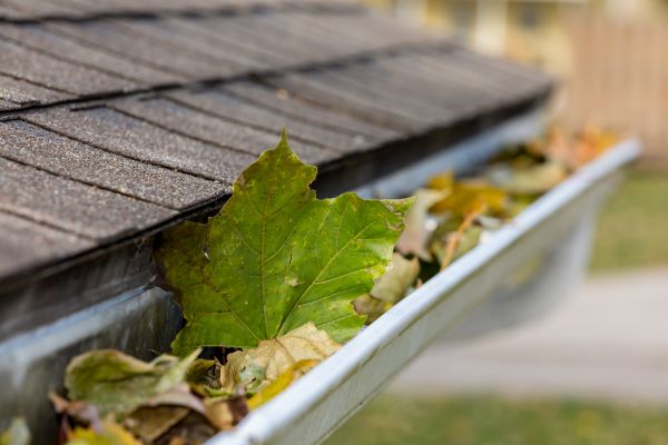 Commercial Downspout Cleaning in Powder Springs