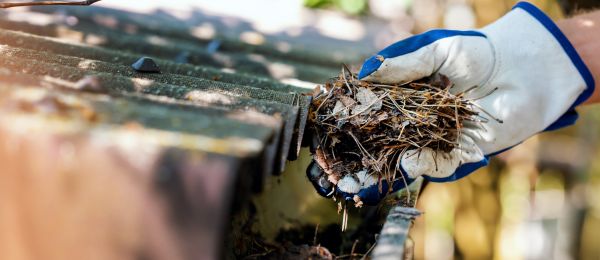 Pine Needle Gutter Cleaning in Powder Springs
