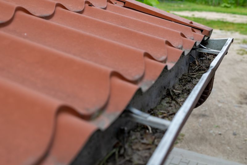 Gutter Maintenance detail