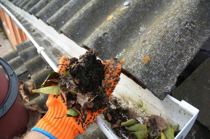 Gutter Maintenance detail