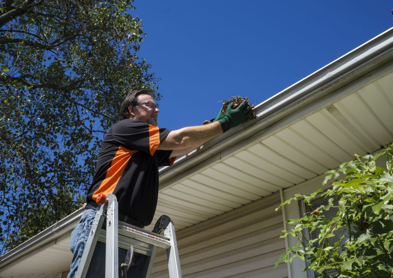 During Gutter Cleaning